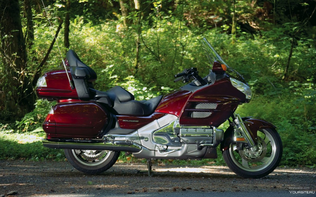 Габариты мотоцикла Хонда gl1800
