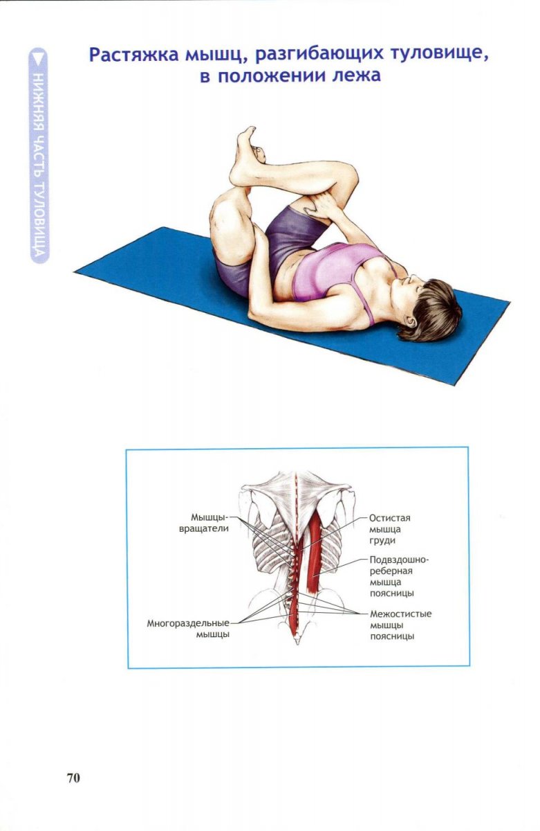 Дельтовидная мышца спины анатомия