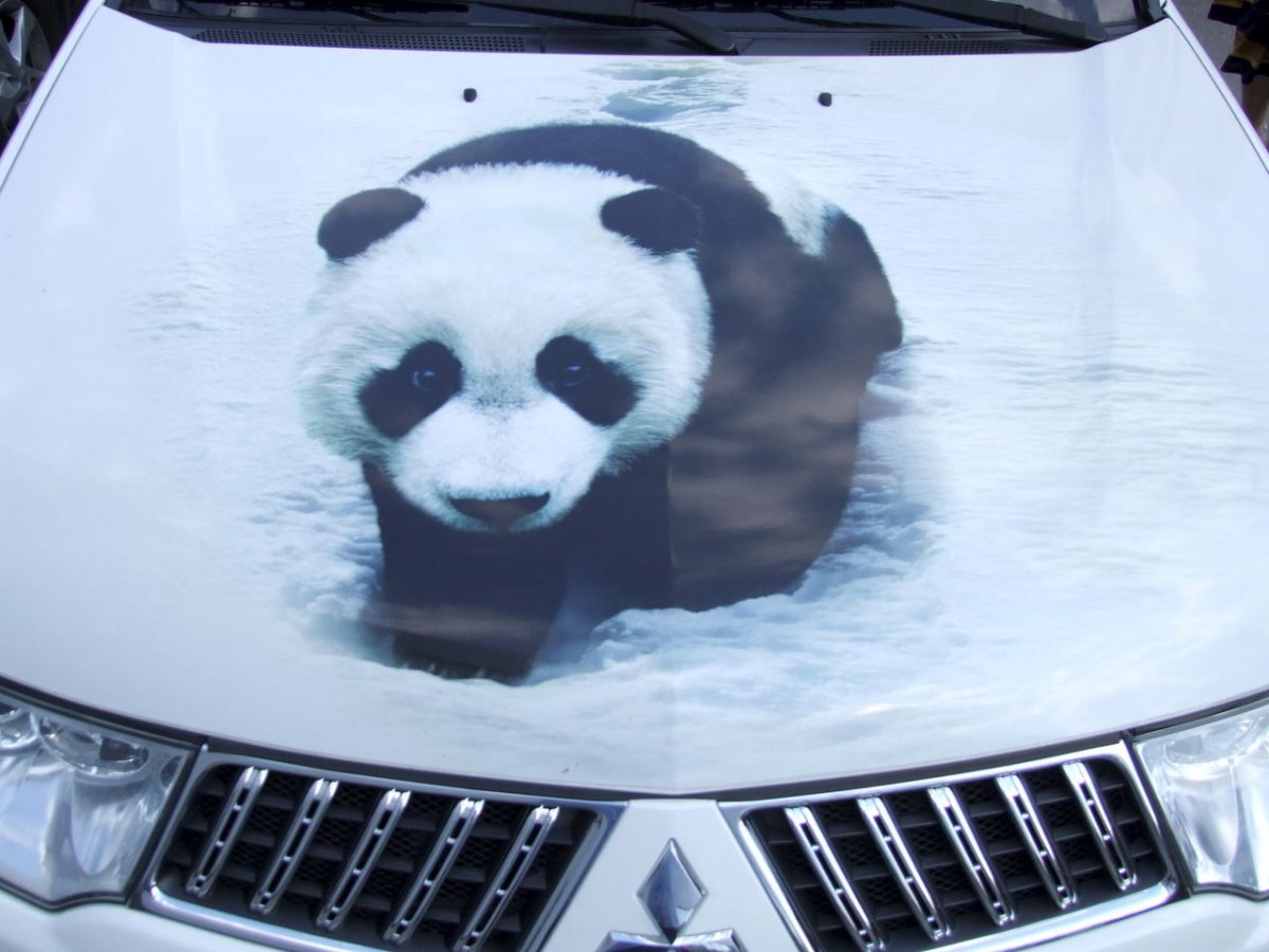 Чехлы Панда на сиденья автомобиля