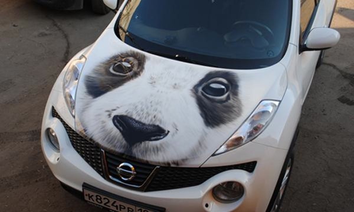Машины с Panda Sport