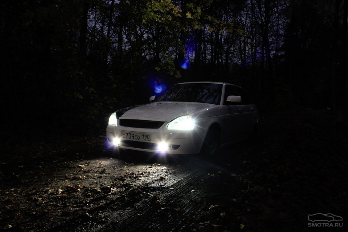 Машина ночью в лесу летом