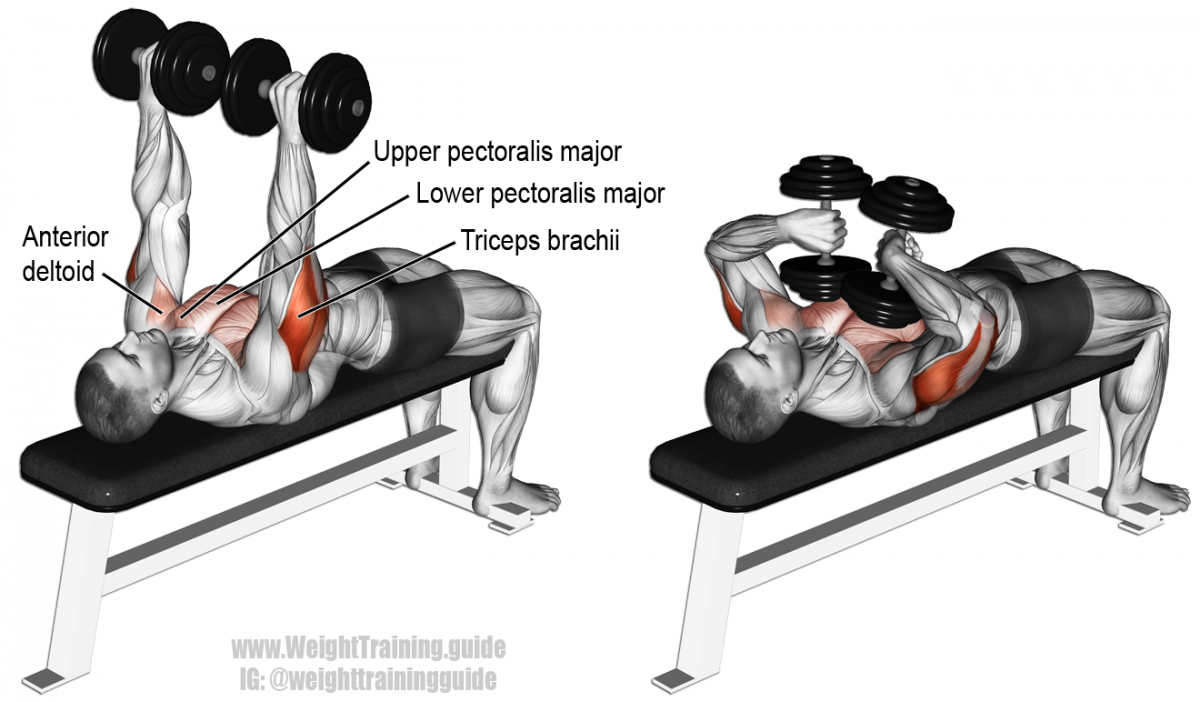Overhead Triceps Extension