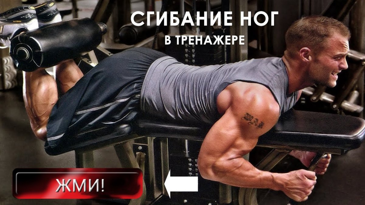 Бицепс бедра