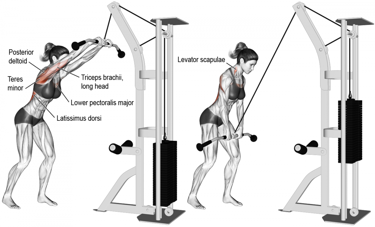 Тренажер кроссовер упражнения на спину и трицепс