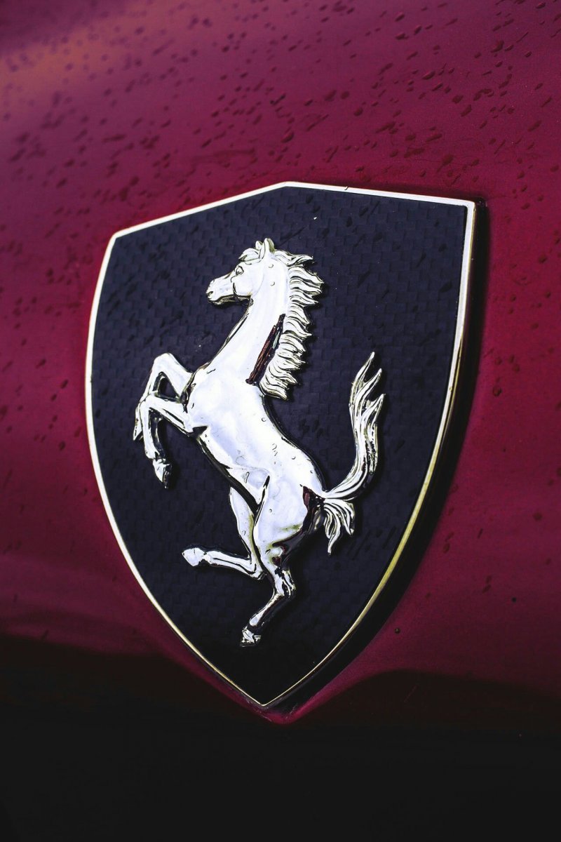Фото коня с эмблемой БМВ
