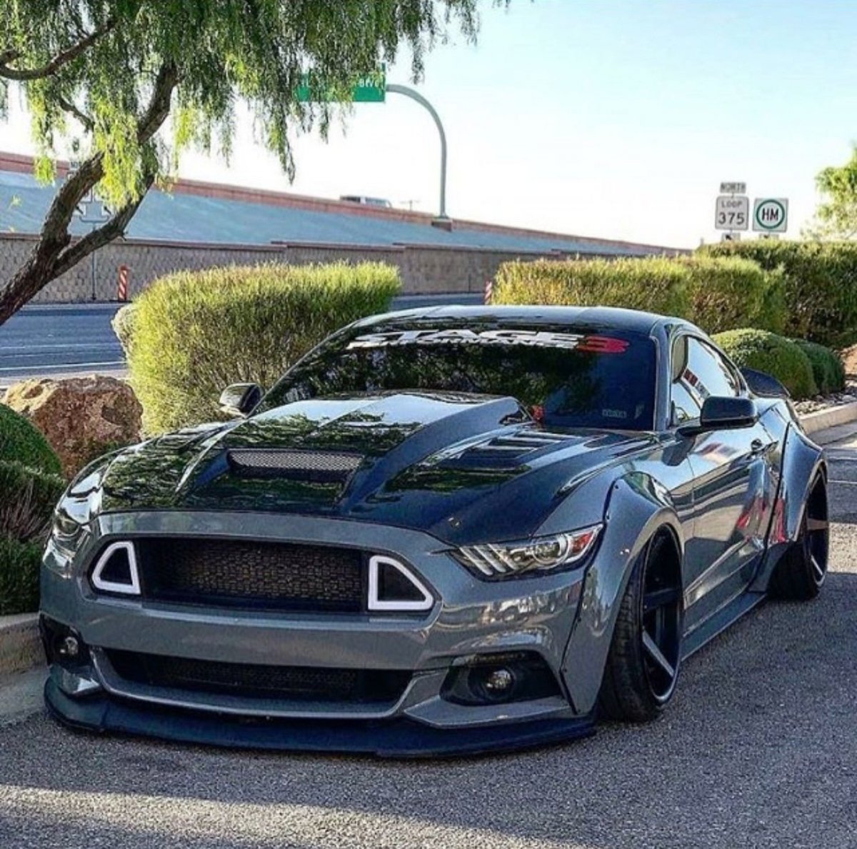 Ford Mustang Shelby gt350/350r