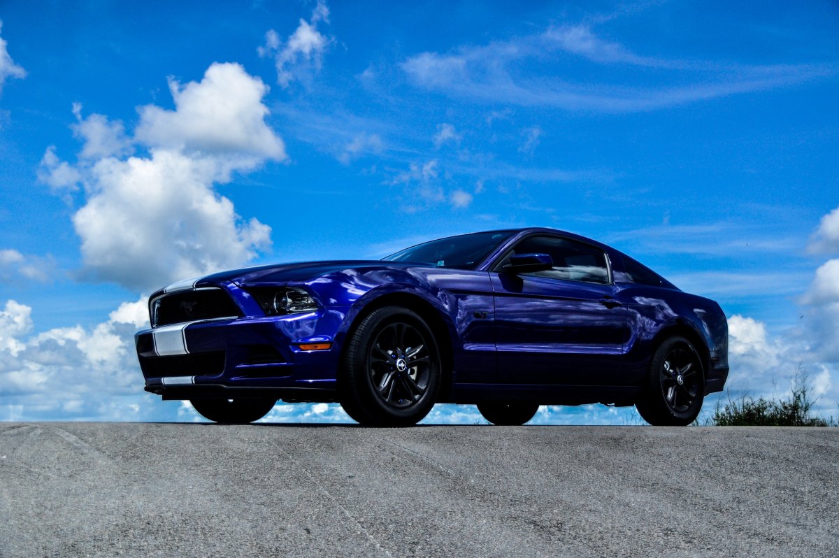 Ford Mustang gt 1000 Shelby