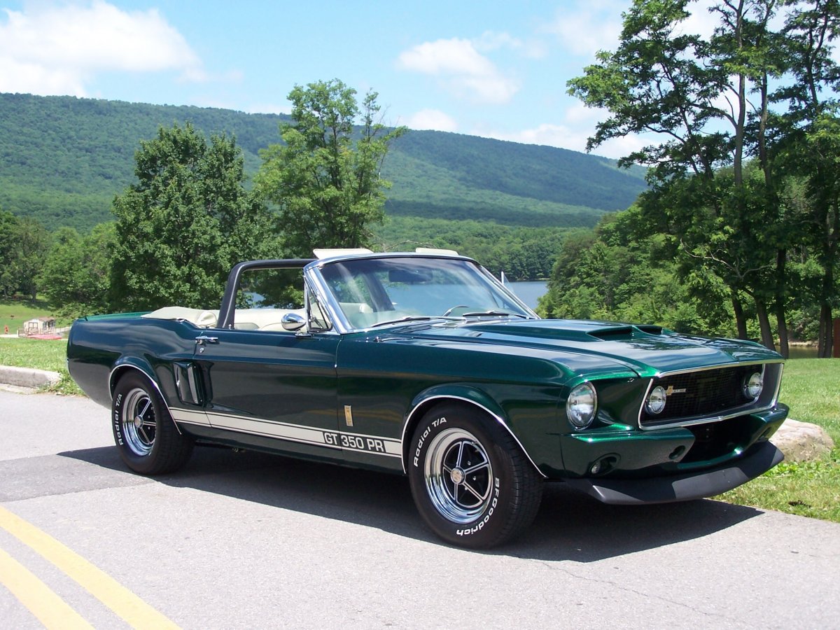 Ford Shelby gt350 1967