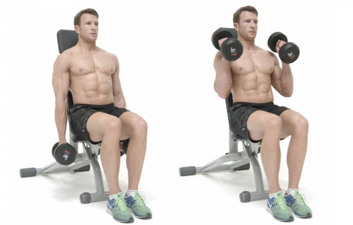 Cable biceps Curl