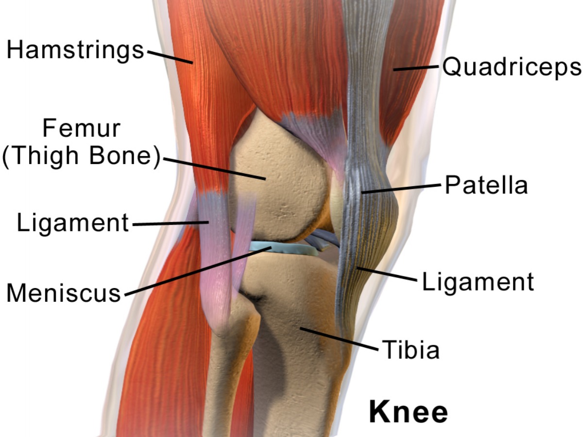 Повреждения сухожилия четырехглавой мышцы коленного сустава