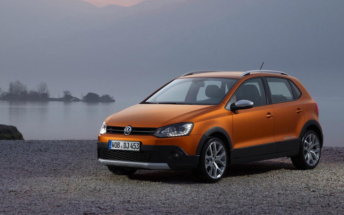 Volkswagen Cross Polo (mk5) 2010