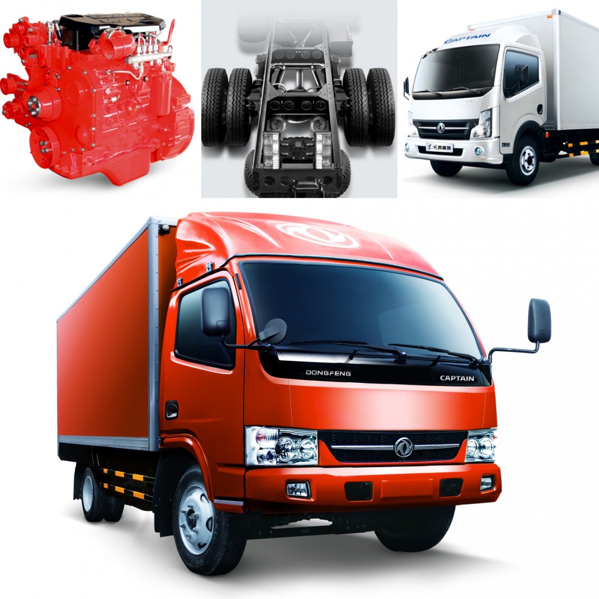DFM ax7 2021