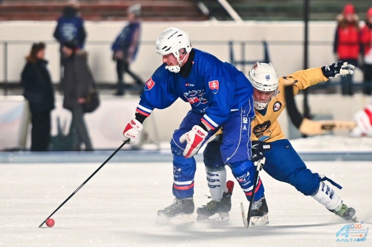Алексей Ничков хоккей с мячом