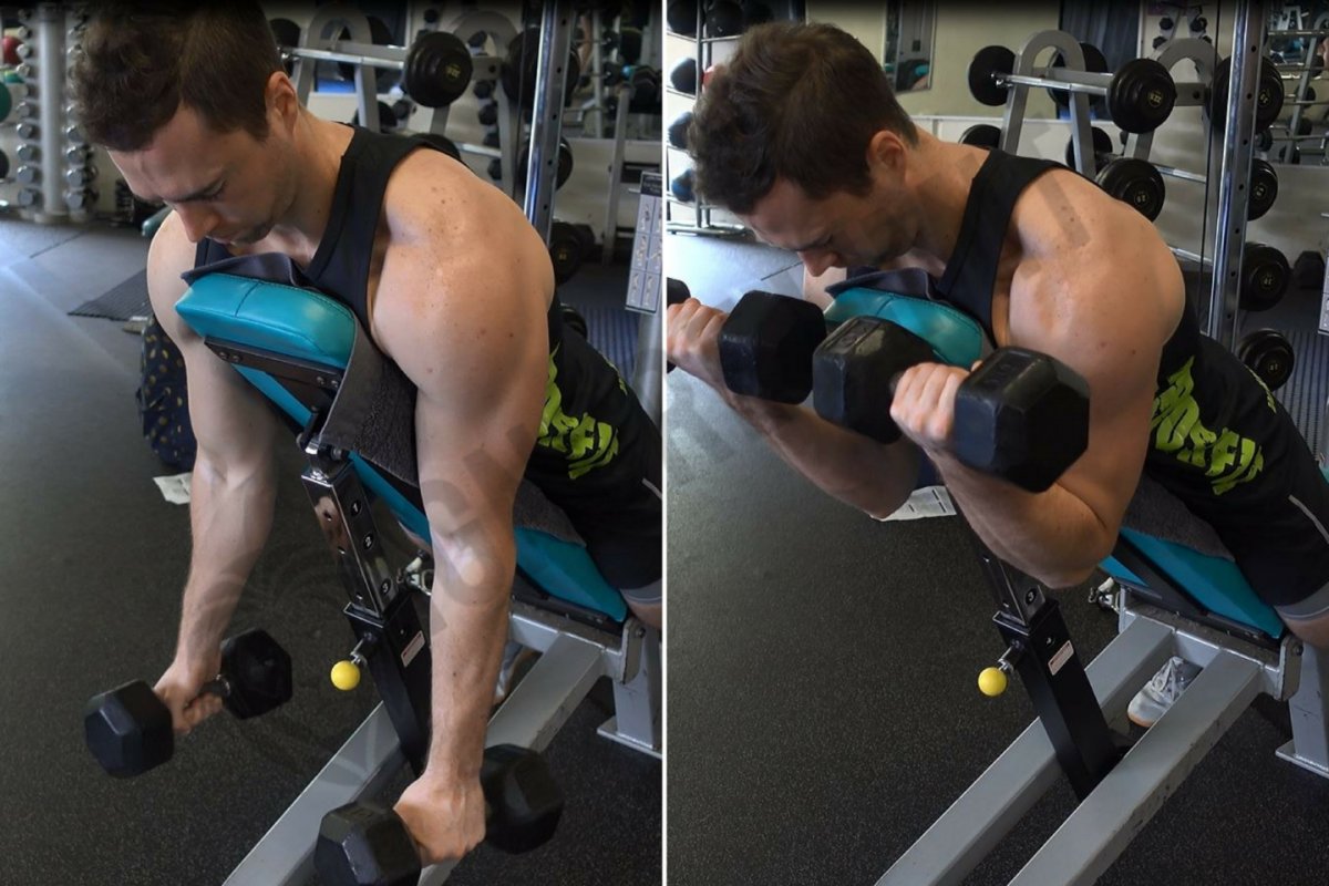 Cable Hammer Bicep Curl