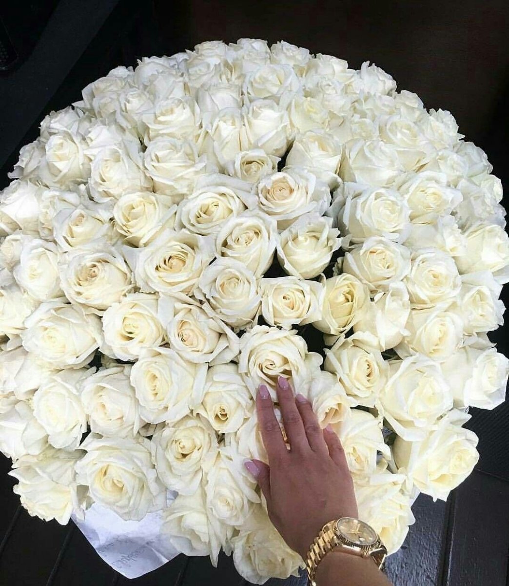 Красивые белые розы сохранёнки