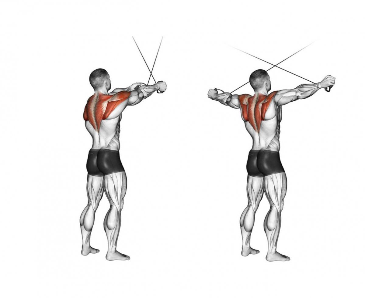 Упражнения на среднюю дельту плеча для мужчин