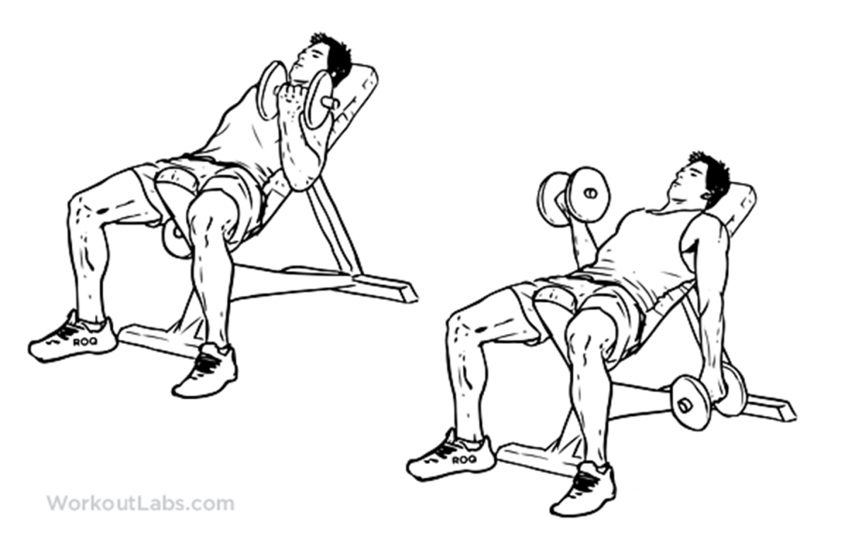 Seated Incline Dumbbell Curl