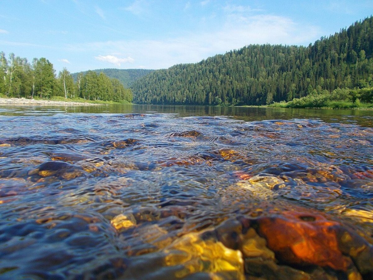 Река Шуя Карелия сплав