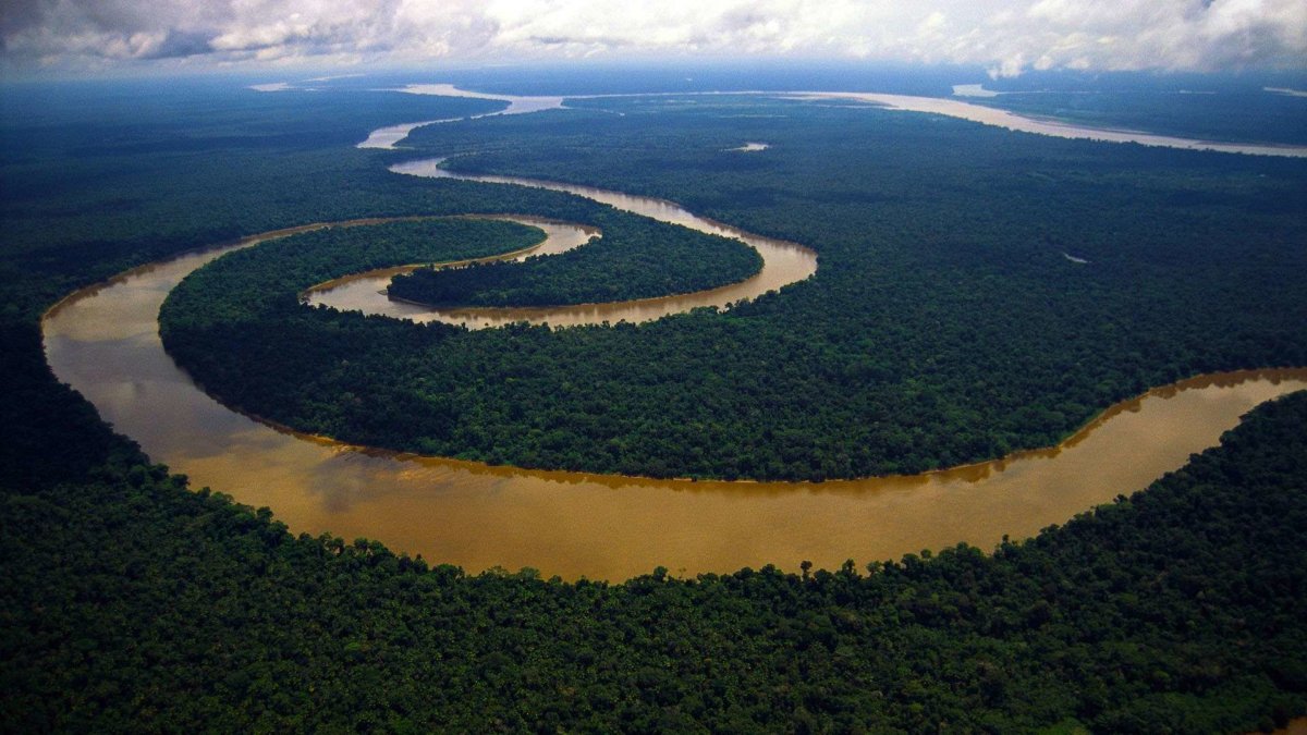 Амазонская неизменност