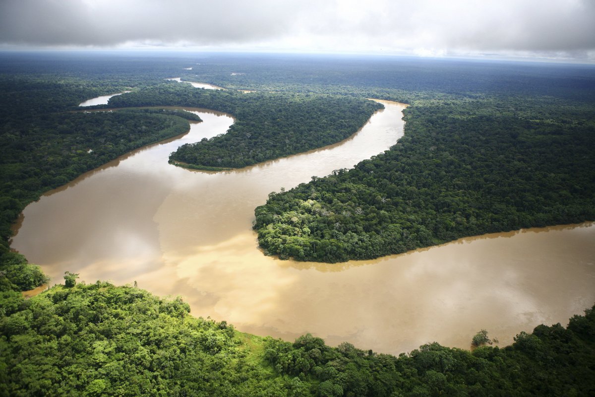 Река Ориноко Бразилия