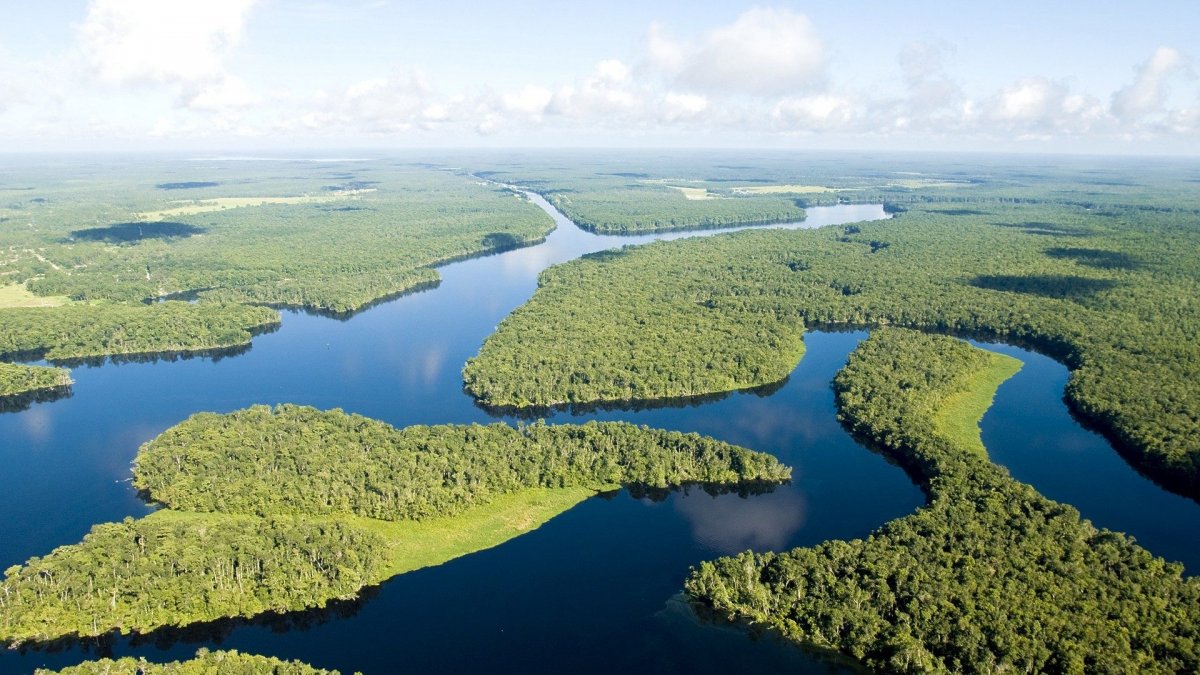 Бассейн реки Амазонка