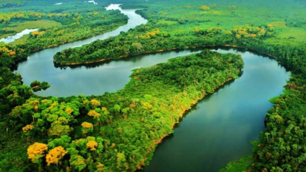 Штат Амазония