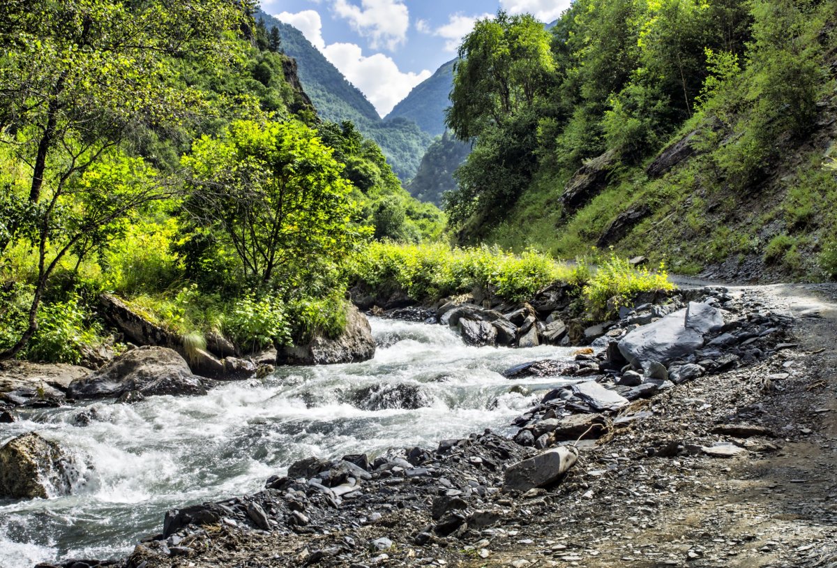 Река койсу в Дагестане