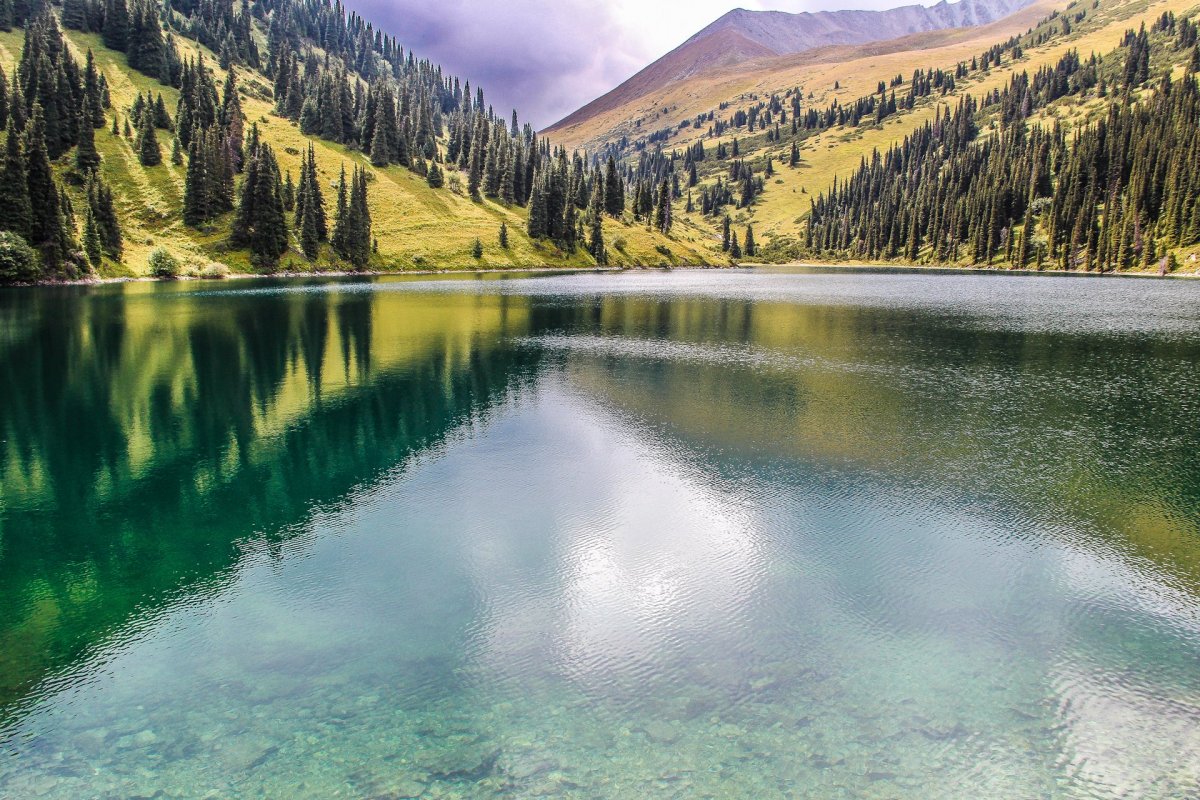 Озеро Каинды в Казахстане