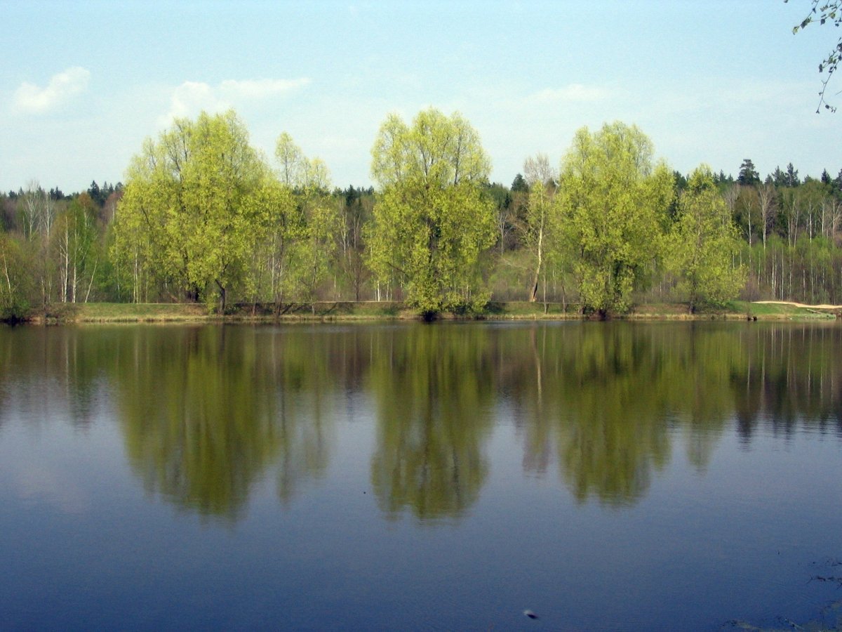 Озеро светлое Ергаки