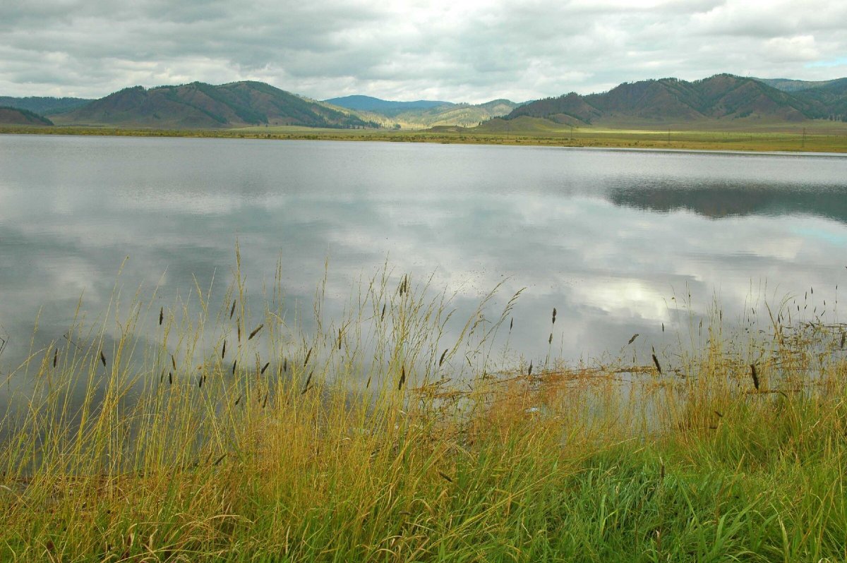 Теньгинское озеро Алтай рыбалка