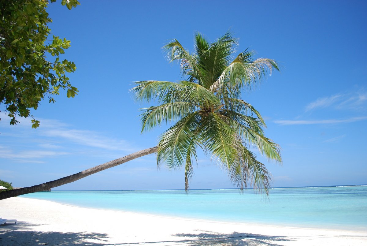 Мальдивы остров Бодуфолуду