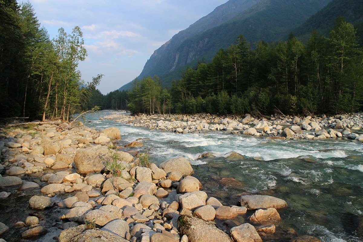 река терсь кемеровская область