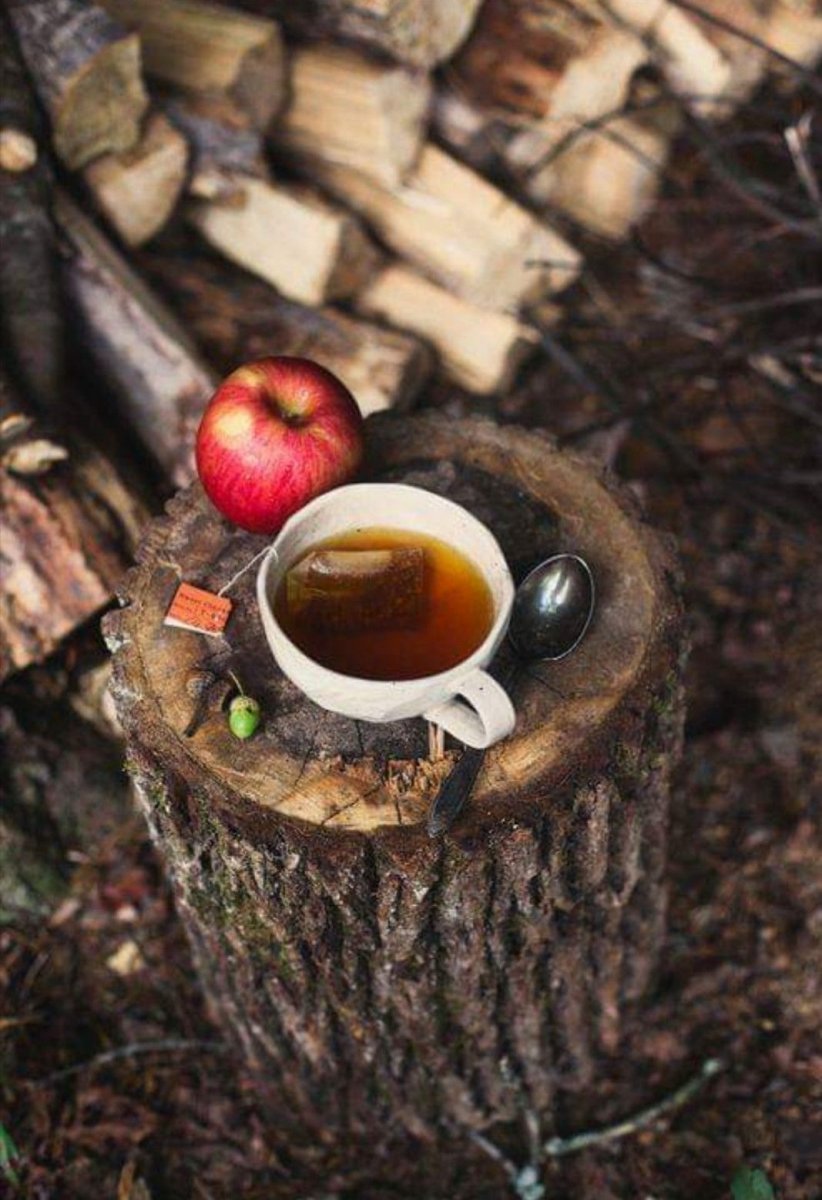 Кружка чая на природе