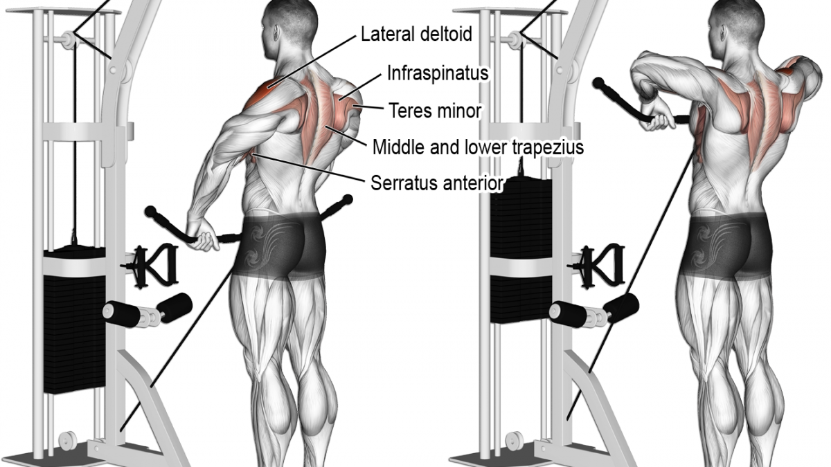 Cable Rope Tricep Extension
