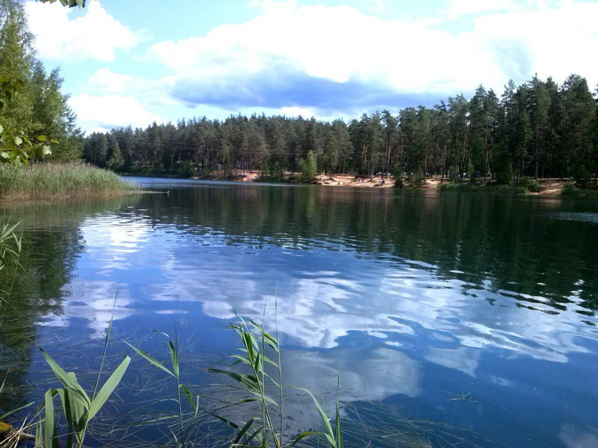 Озеро зеленое Лужский район Шалово