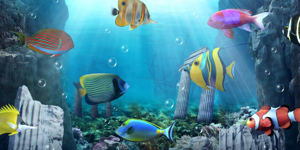 Живые обои аквариум для андроид