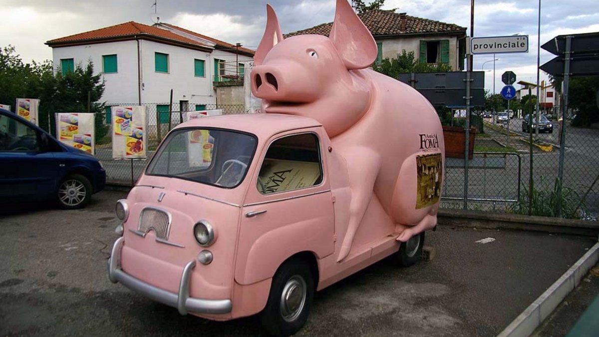 Свинка в машине
