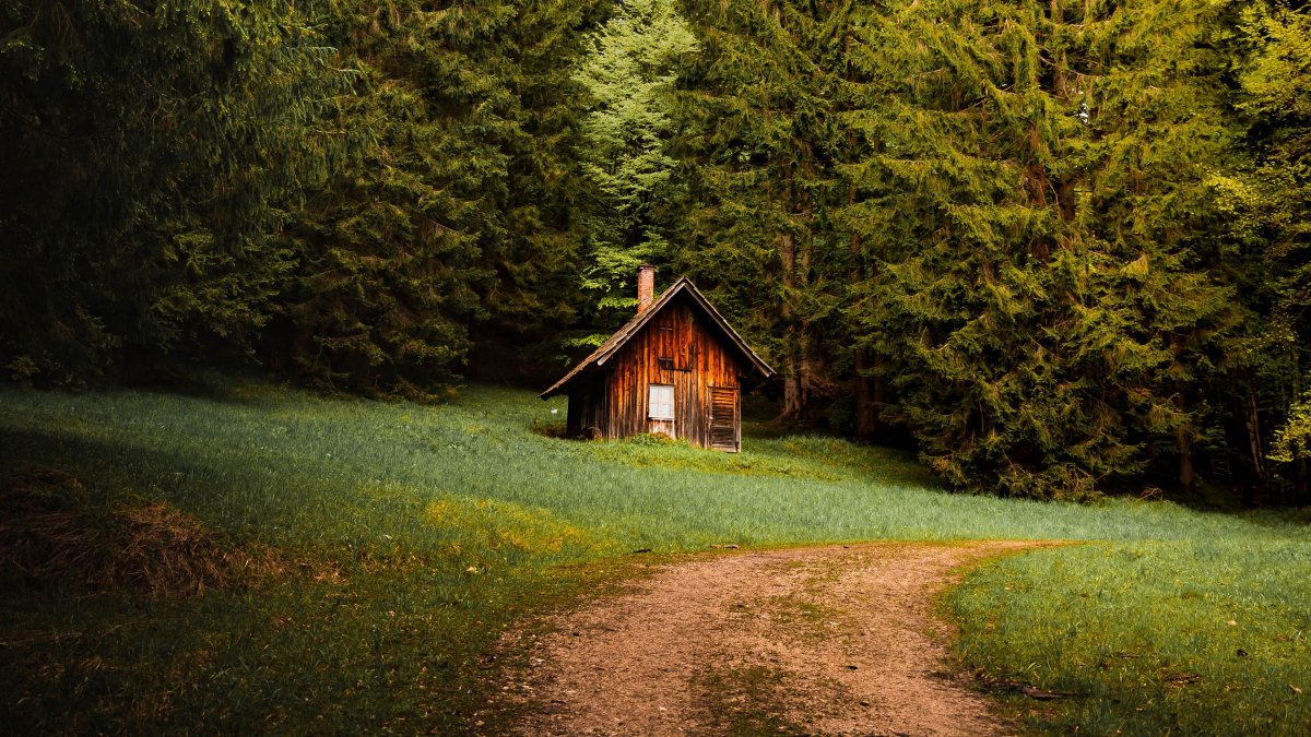 Деревянный дом в лесу обои