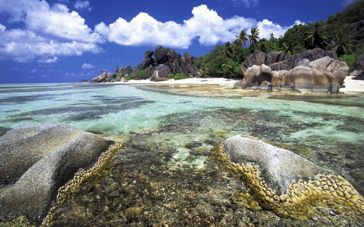 Таити фото острова