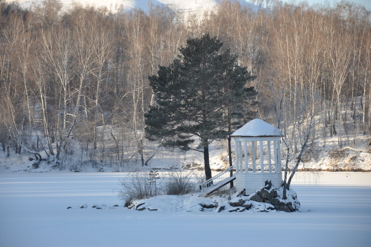 Зима парк Леоново