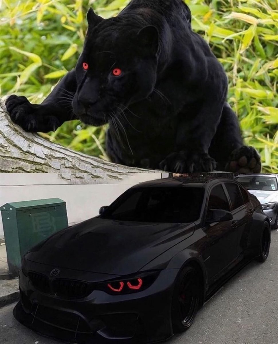 БМВ черная пантера