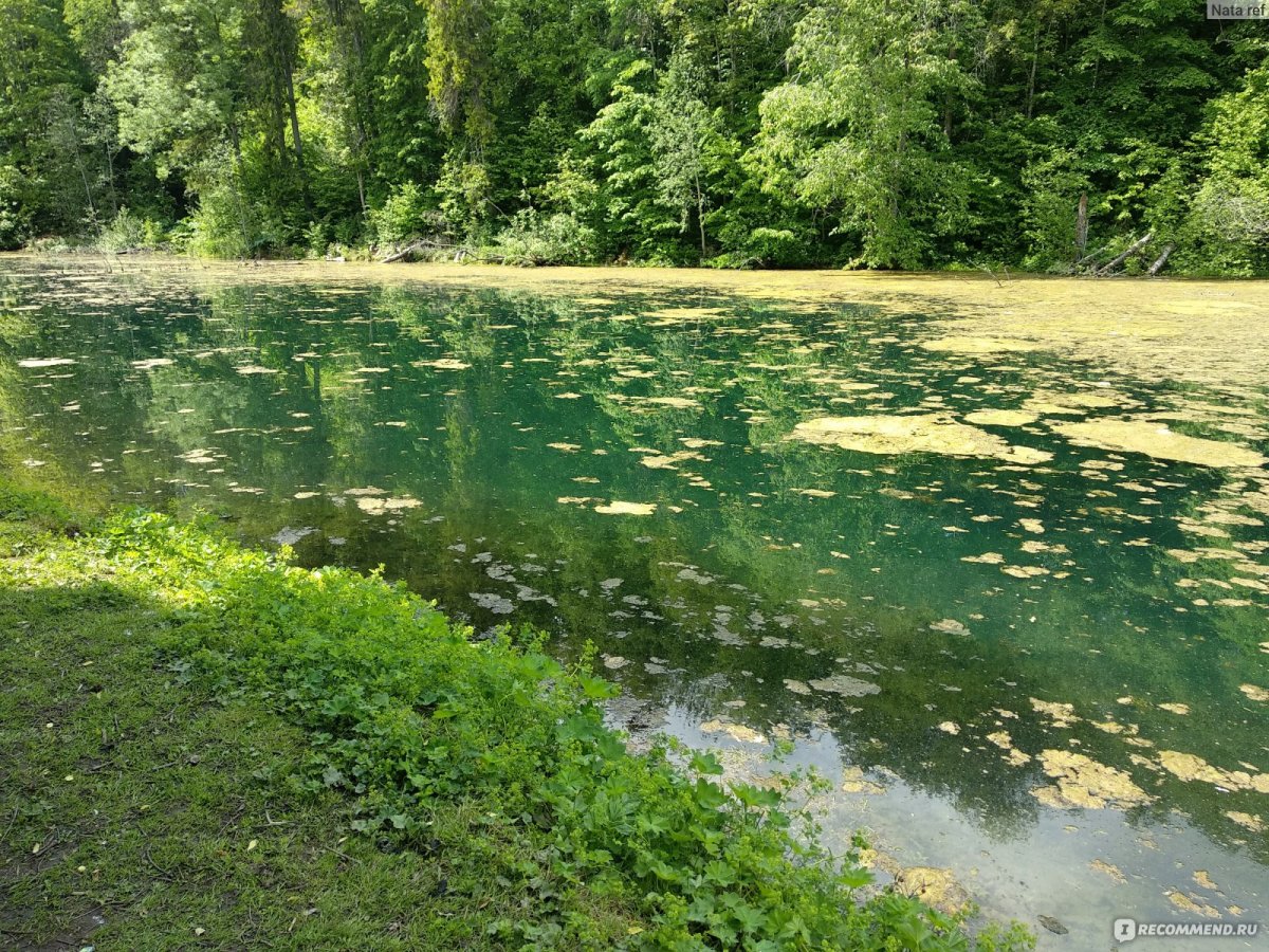 Озеро Радоновое Киржач