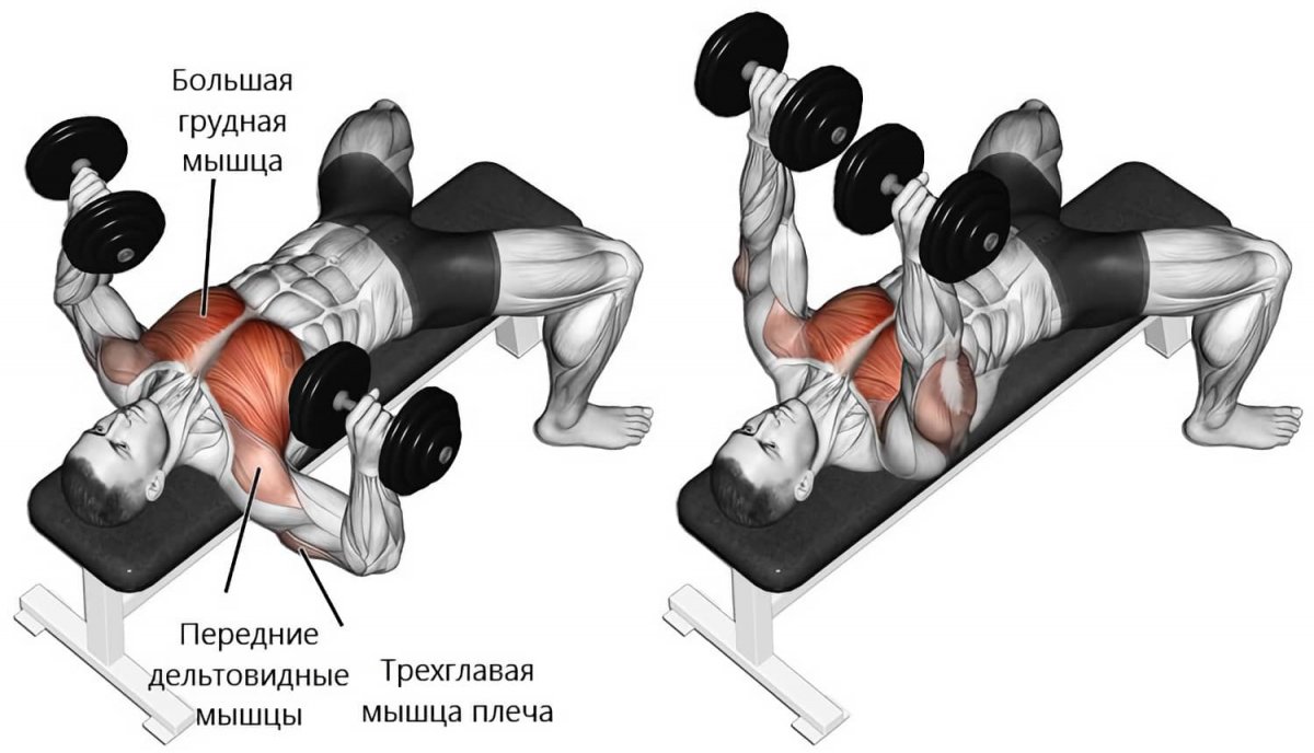 Dumbbell lying Triceps Extension