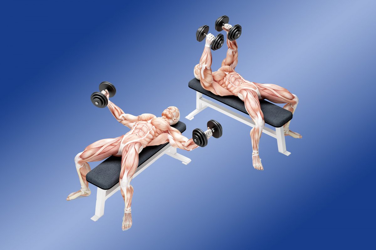 Flat Bench Dumbbell Fly