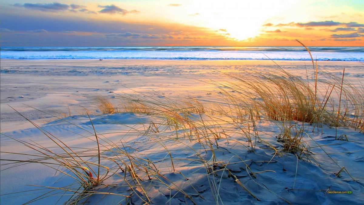 Балтийское море солнце дюны