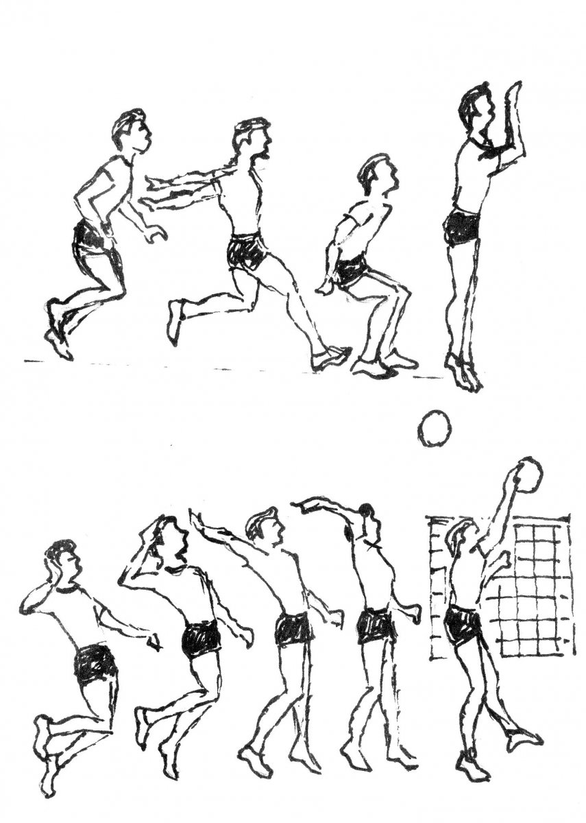 Волейбол тренировка