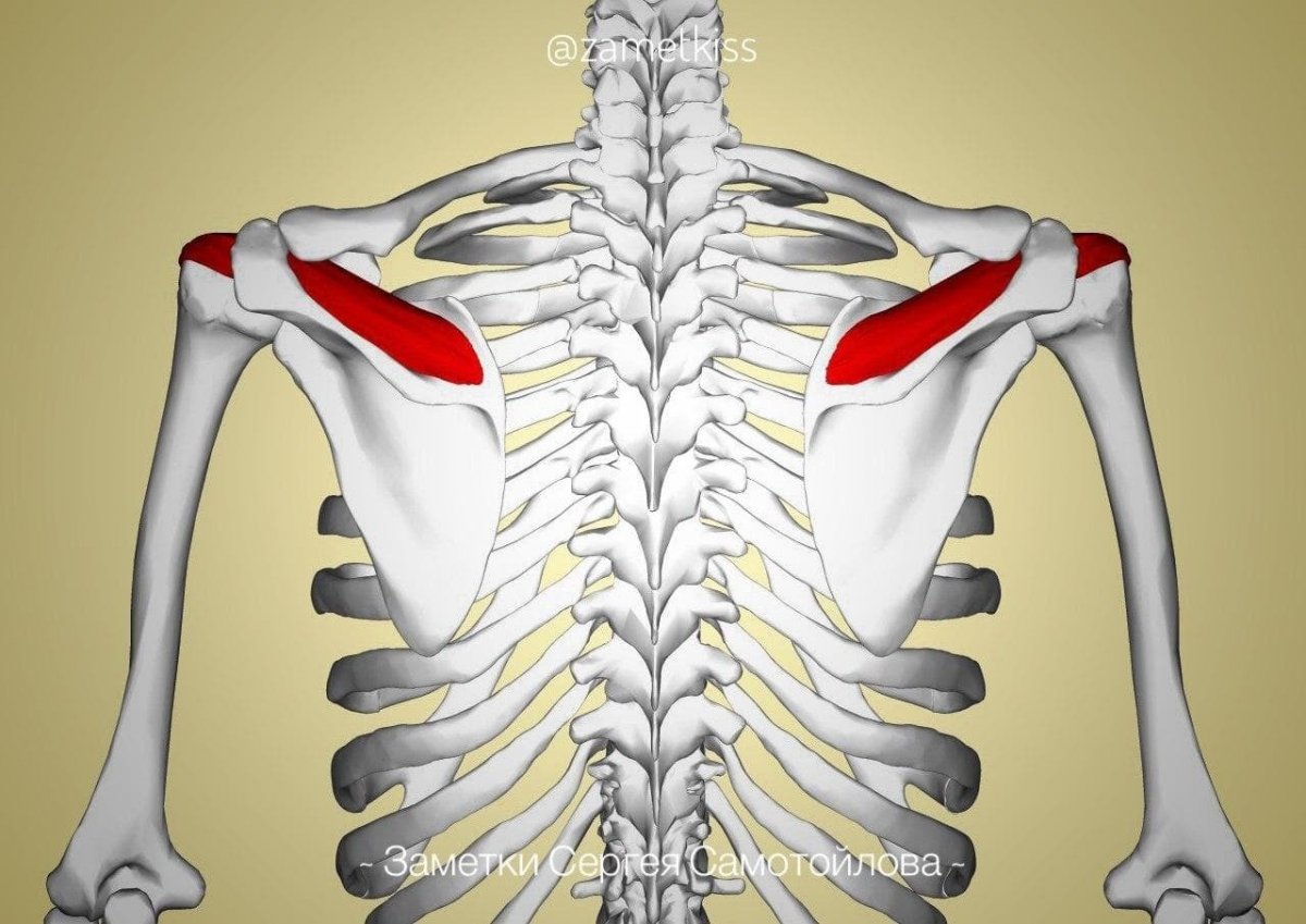 Доступ к большому бугорку плечевой кости