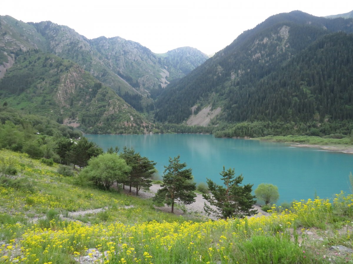 Иссыкское озеро леса фото