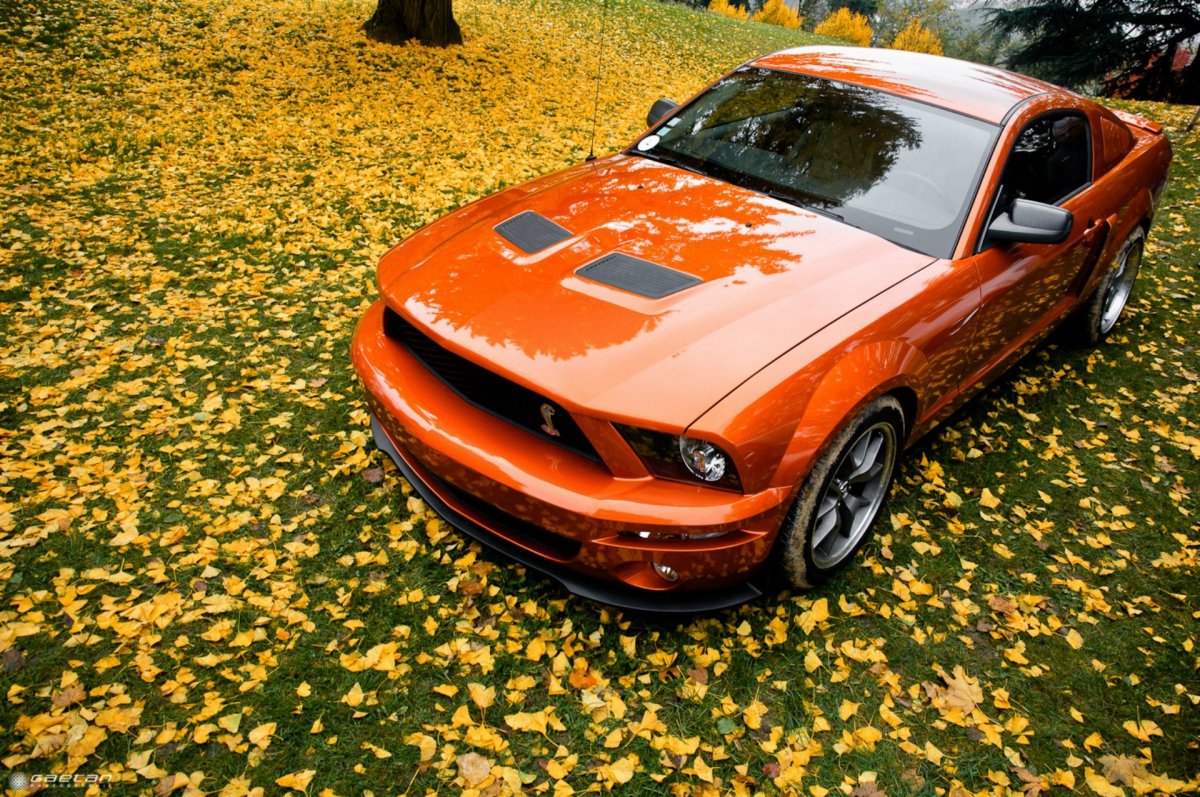 Ford Mustang 60 оранжевый