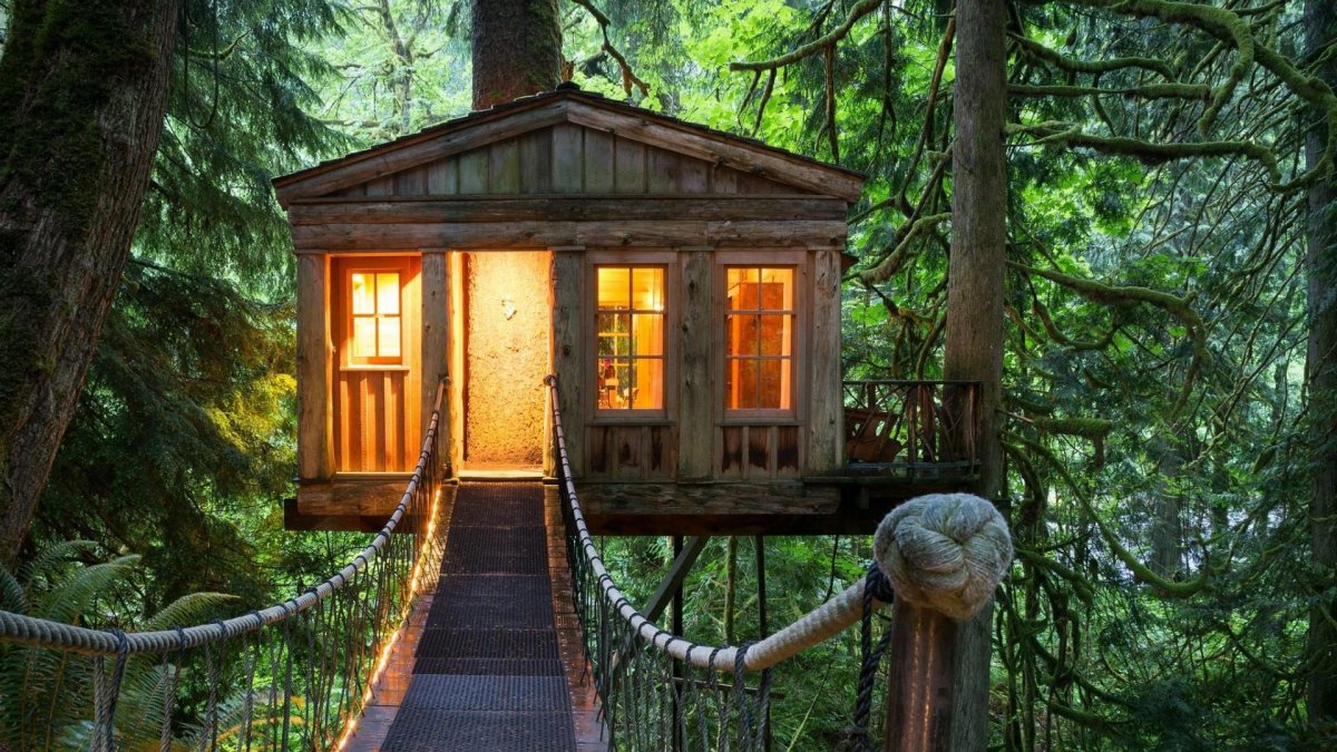 Дом на дереве Airbnb